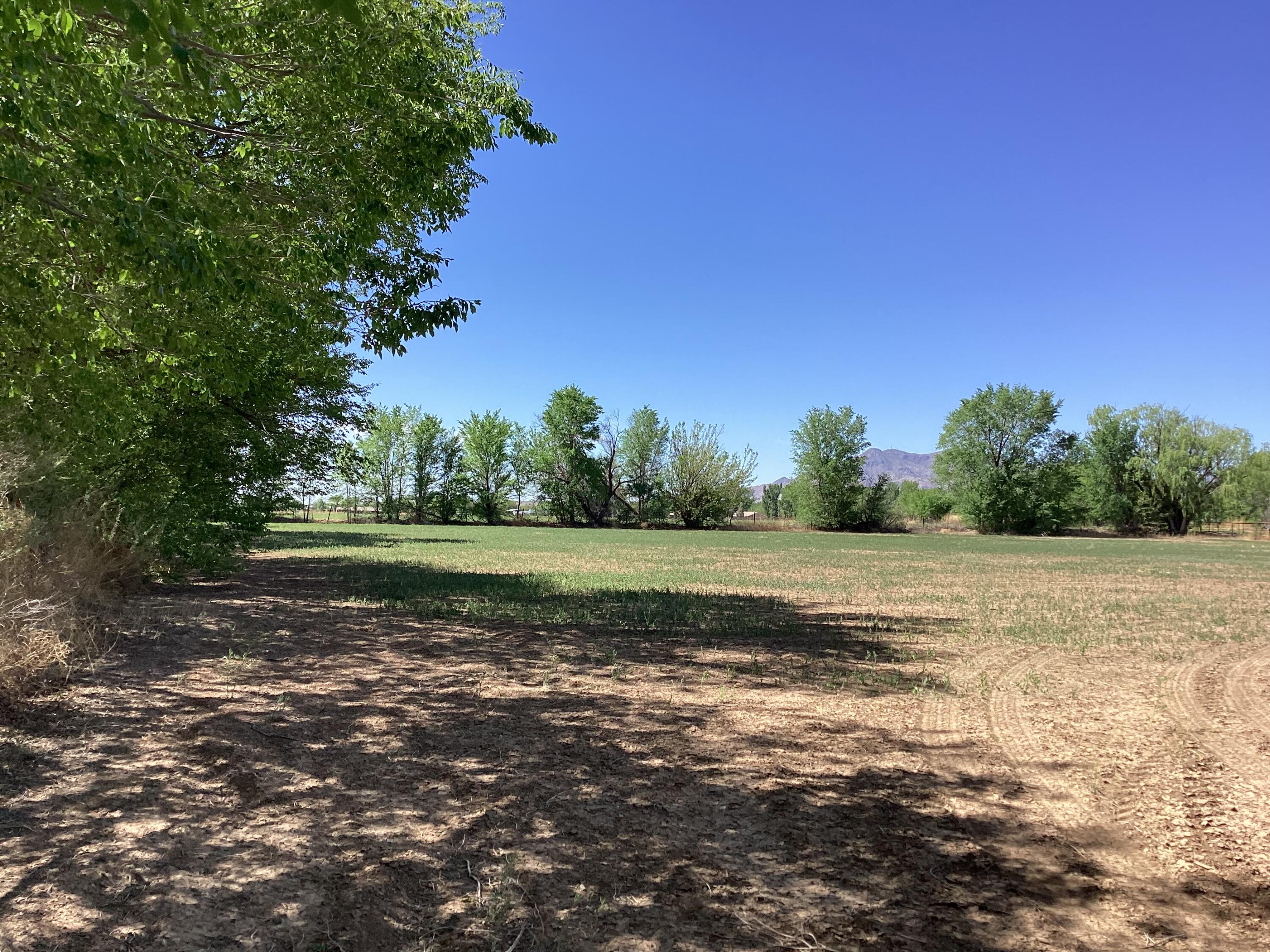 145 Olive Lane, Lemitar, New Mexico image 8