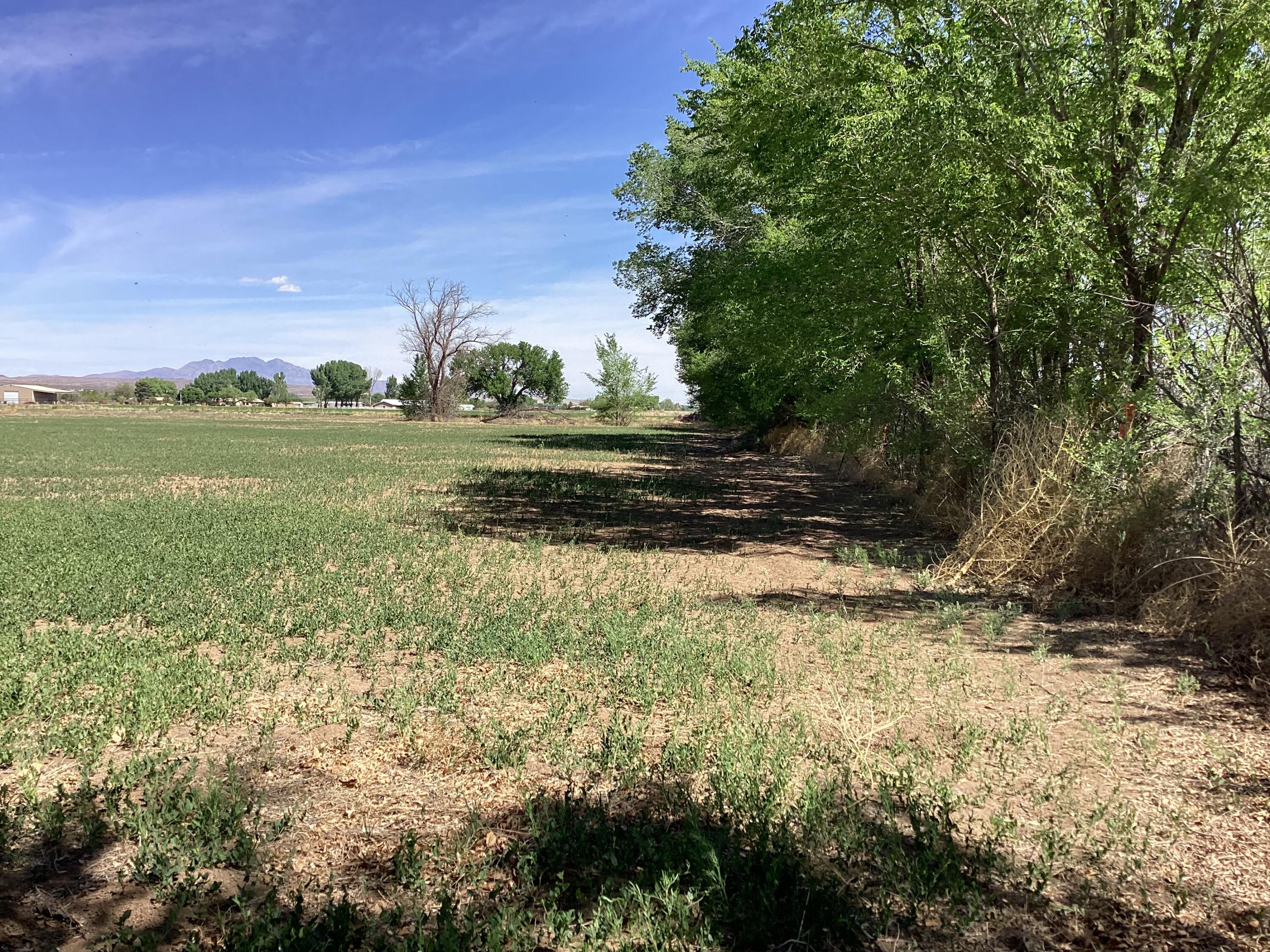 145 Olive Lane, Lemitar, New Mexico image 14