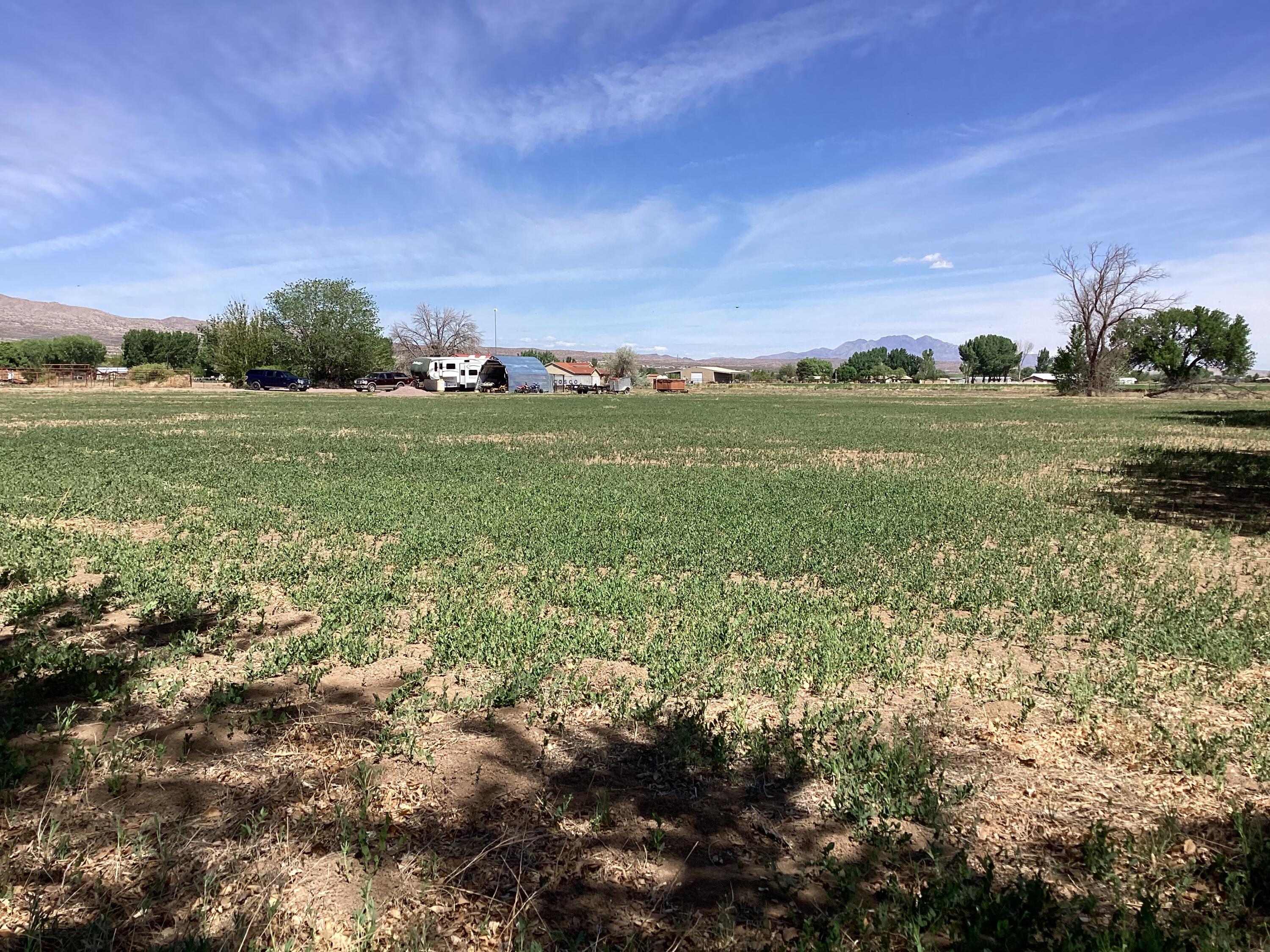 145 Olive Lane, Lemitar, New Mexico image 6