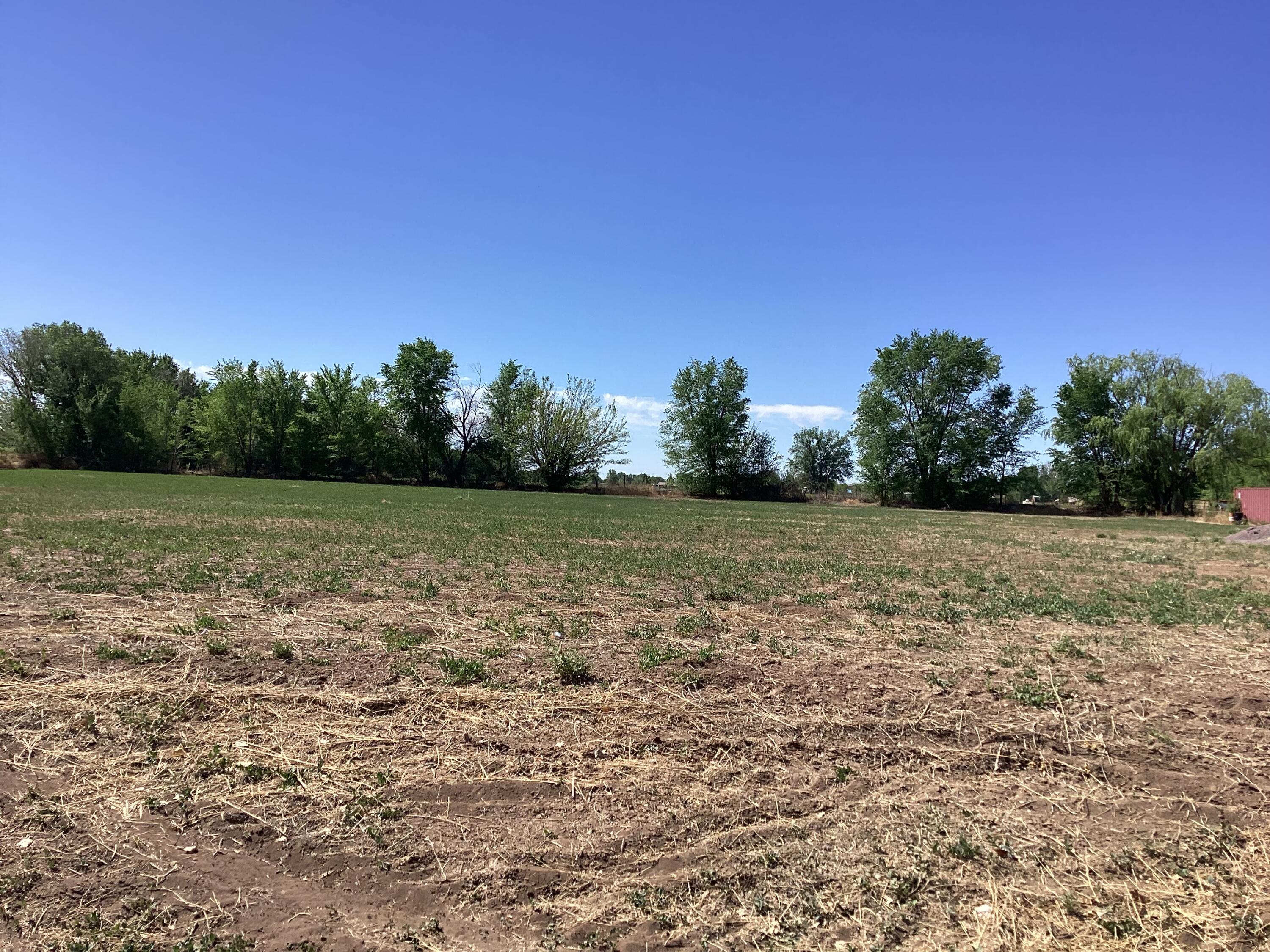 145 Olive Lane, Lemitar, New Mexico image 2