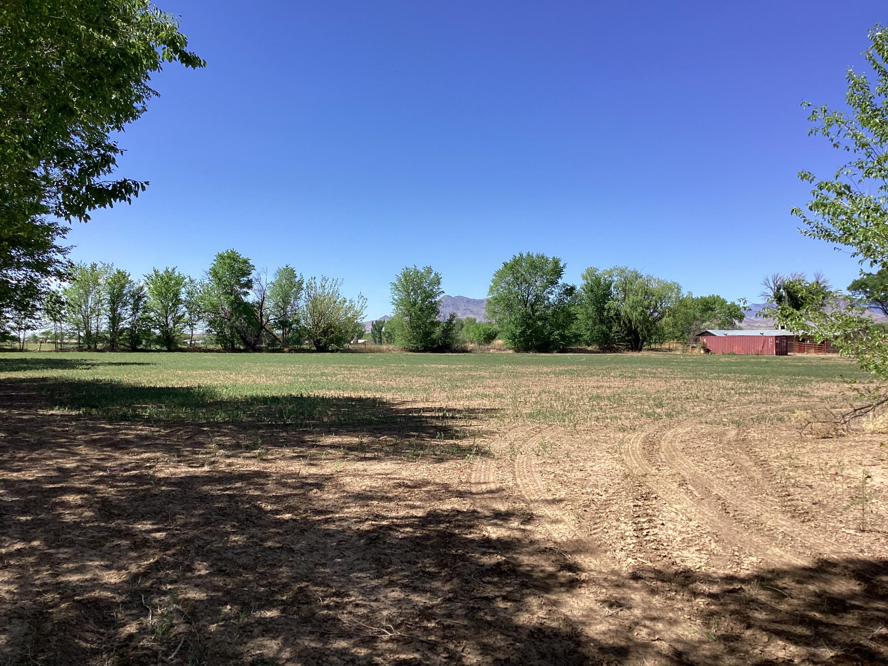 145 Olive Lane, Lemitar, New Mexico image 12