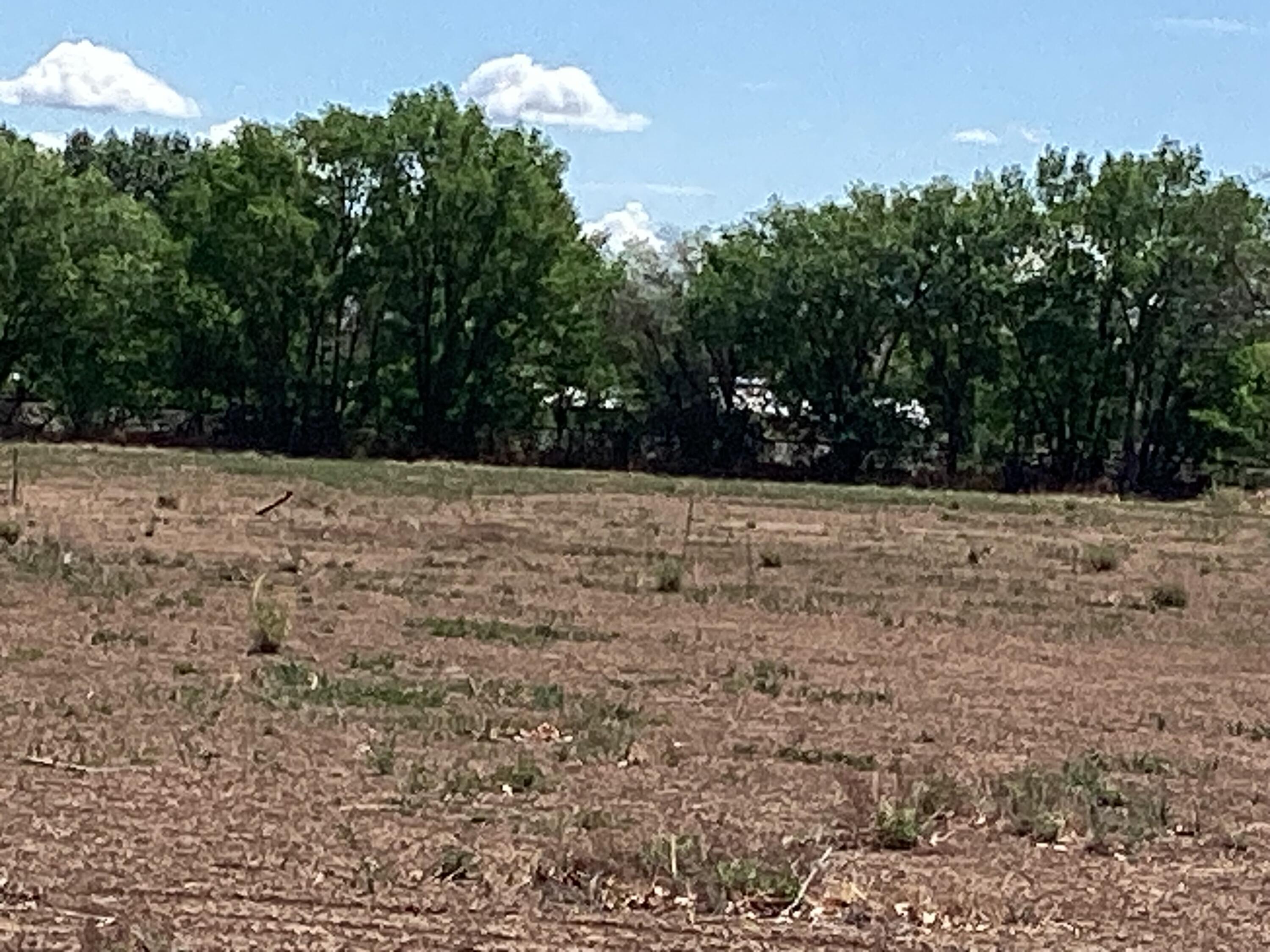 145 Olive Lane, Lemitar, New Mexico image 24