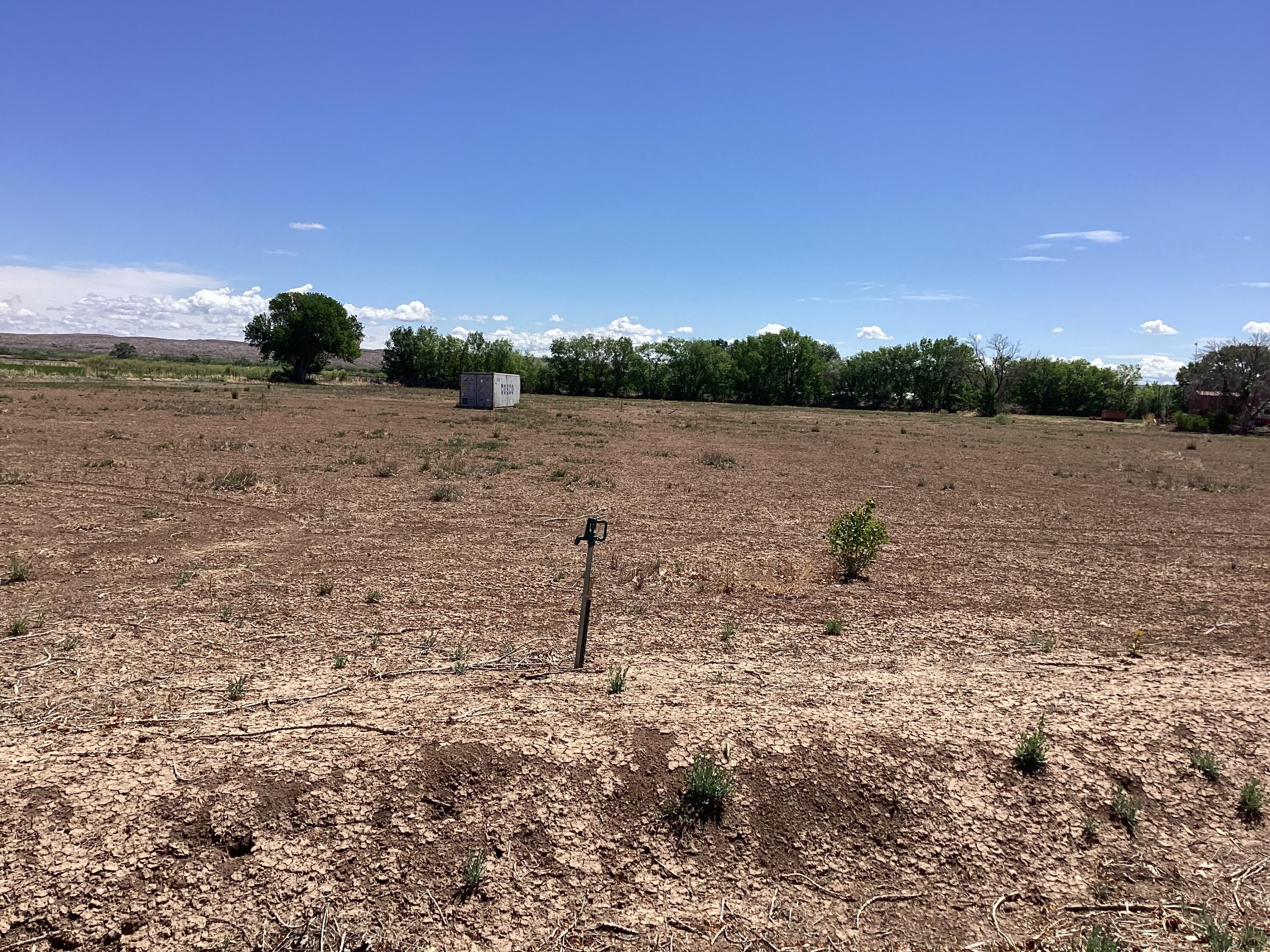 145 Olive Lane, Lemitar, New Mexico image 3