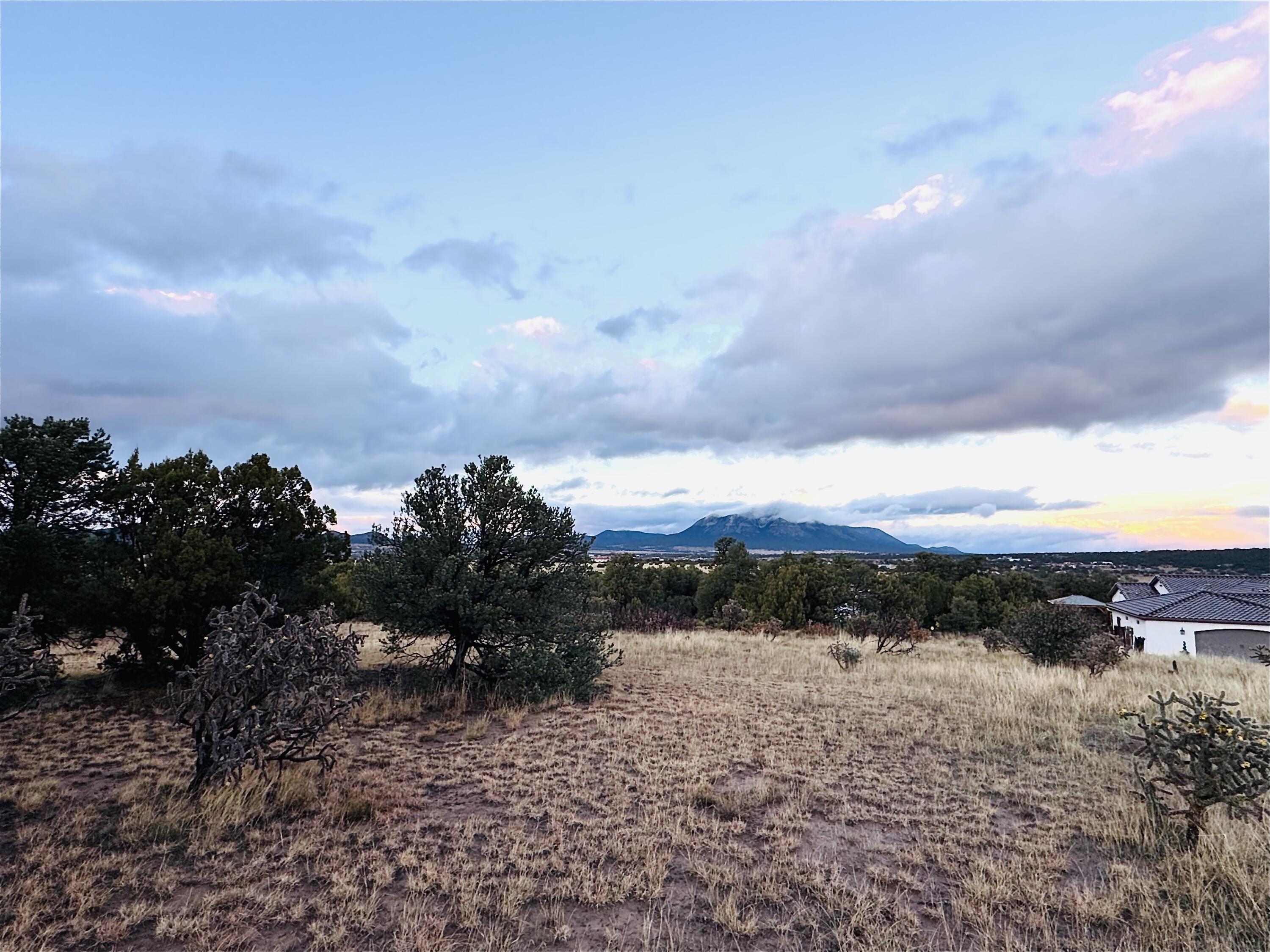 Lot 254 Bolivar Loop