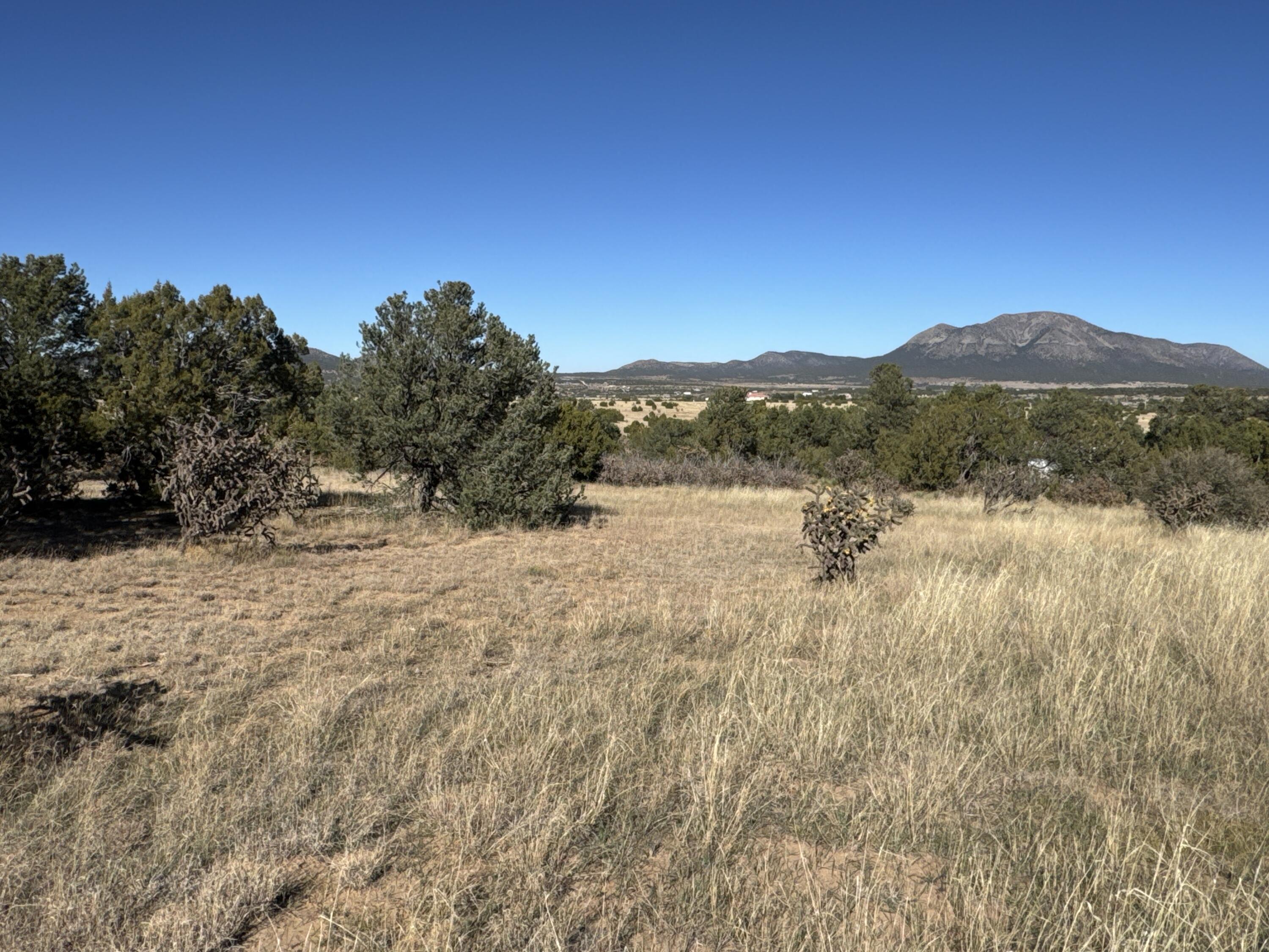 Lot 254 Bolivar Loop