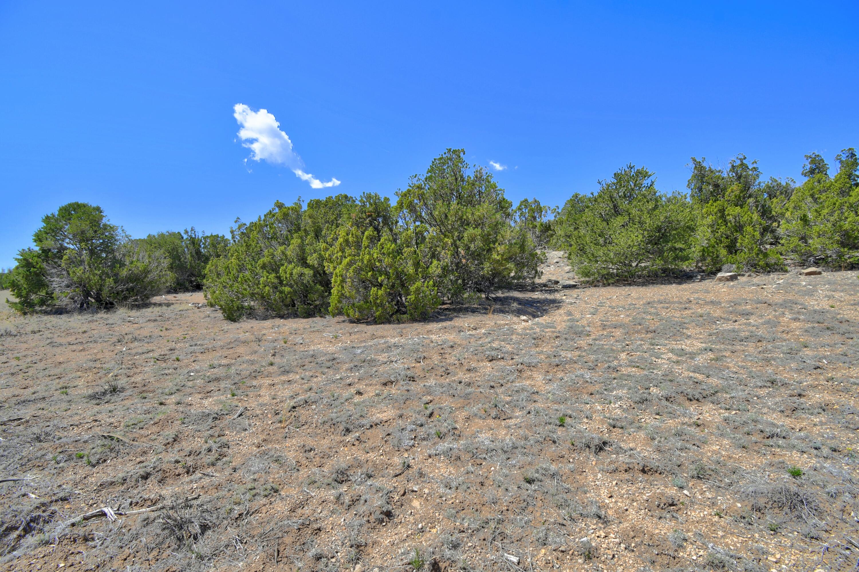 Lot 79 San Pedro Creek Estates, Sandia Park, New Mexico image 17