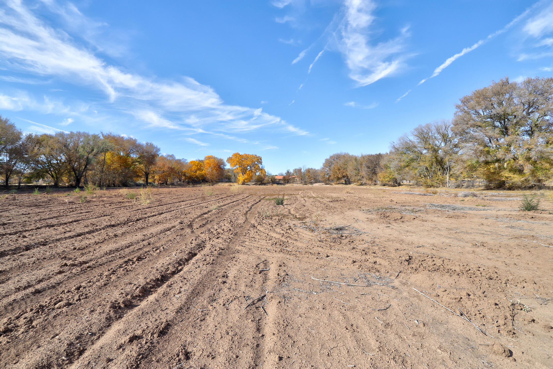 11 Rundles Road, Belen, New Mexico image 3