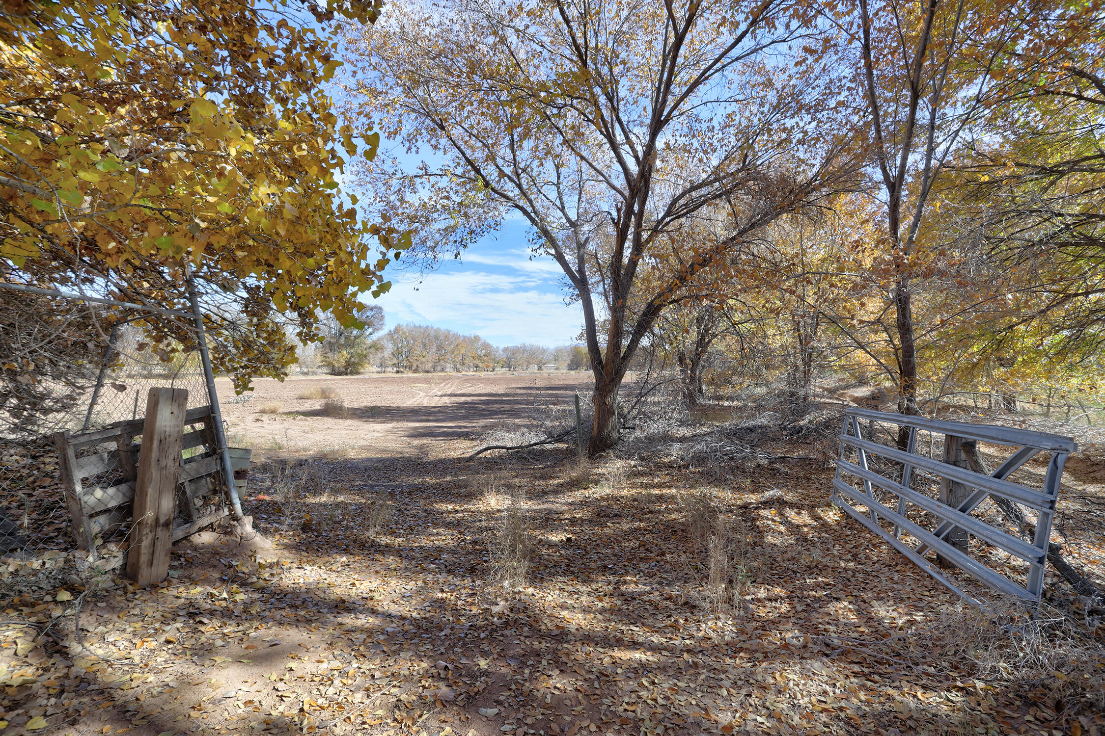 11 Rundles Road, Belen, New Mexico image 4