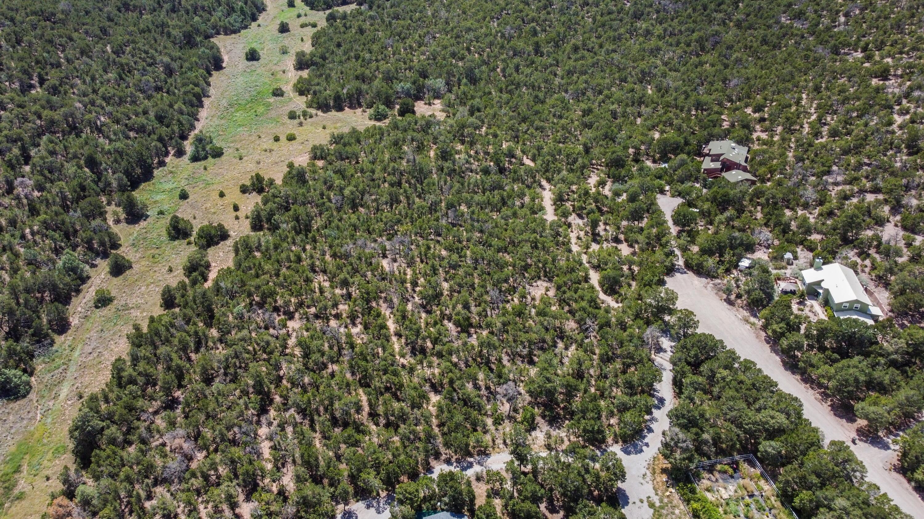 13 Equestrian Court, Tijeras, New Mexico image 9