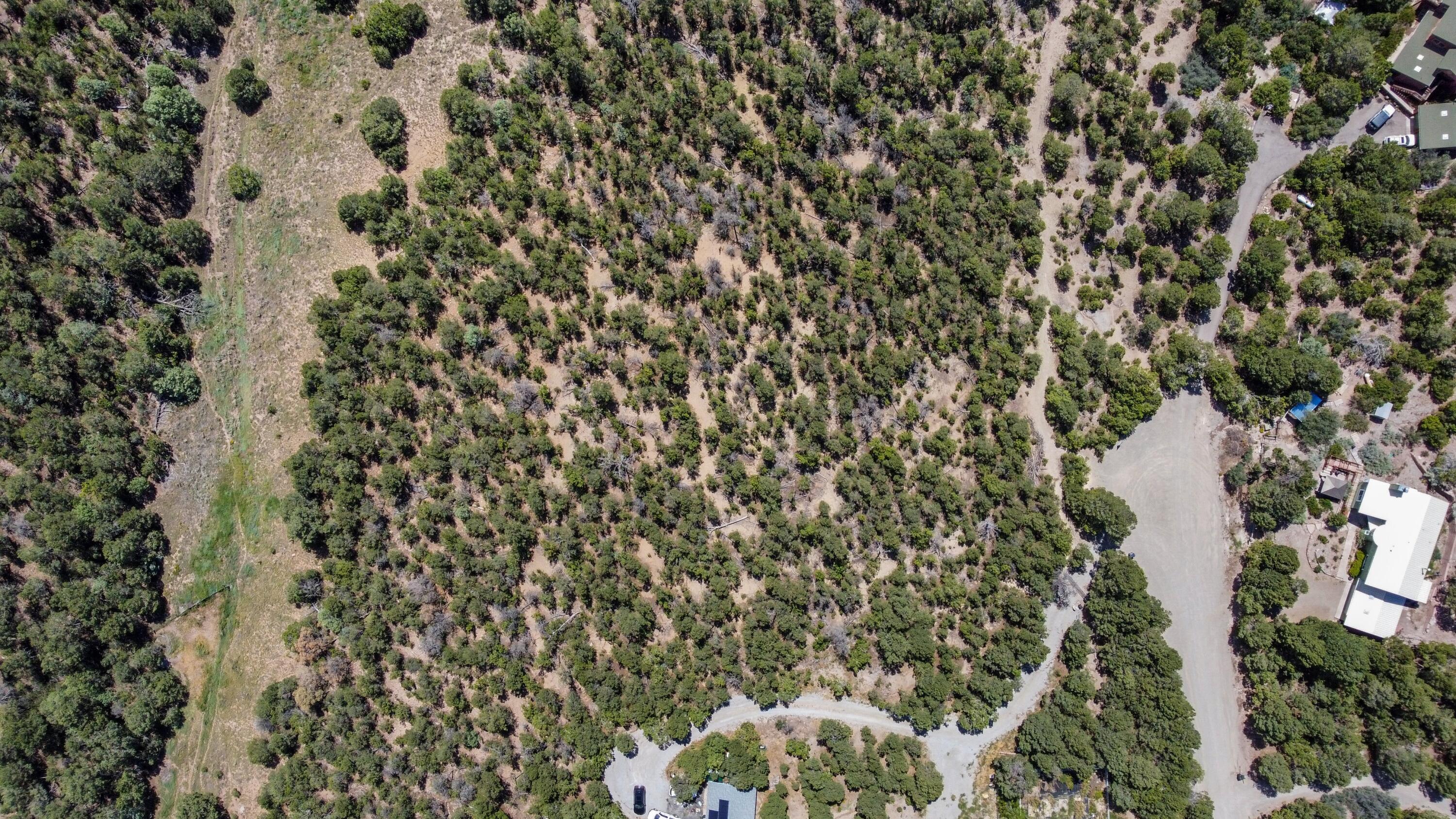 13 Equestrian Court, Tijeras, New Mexico image 10