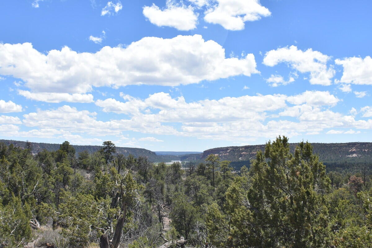 Lot 20 Sunflower Drive