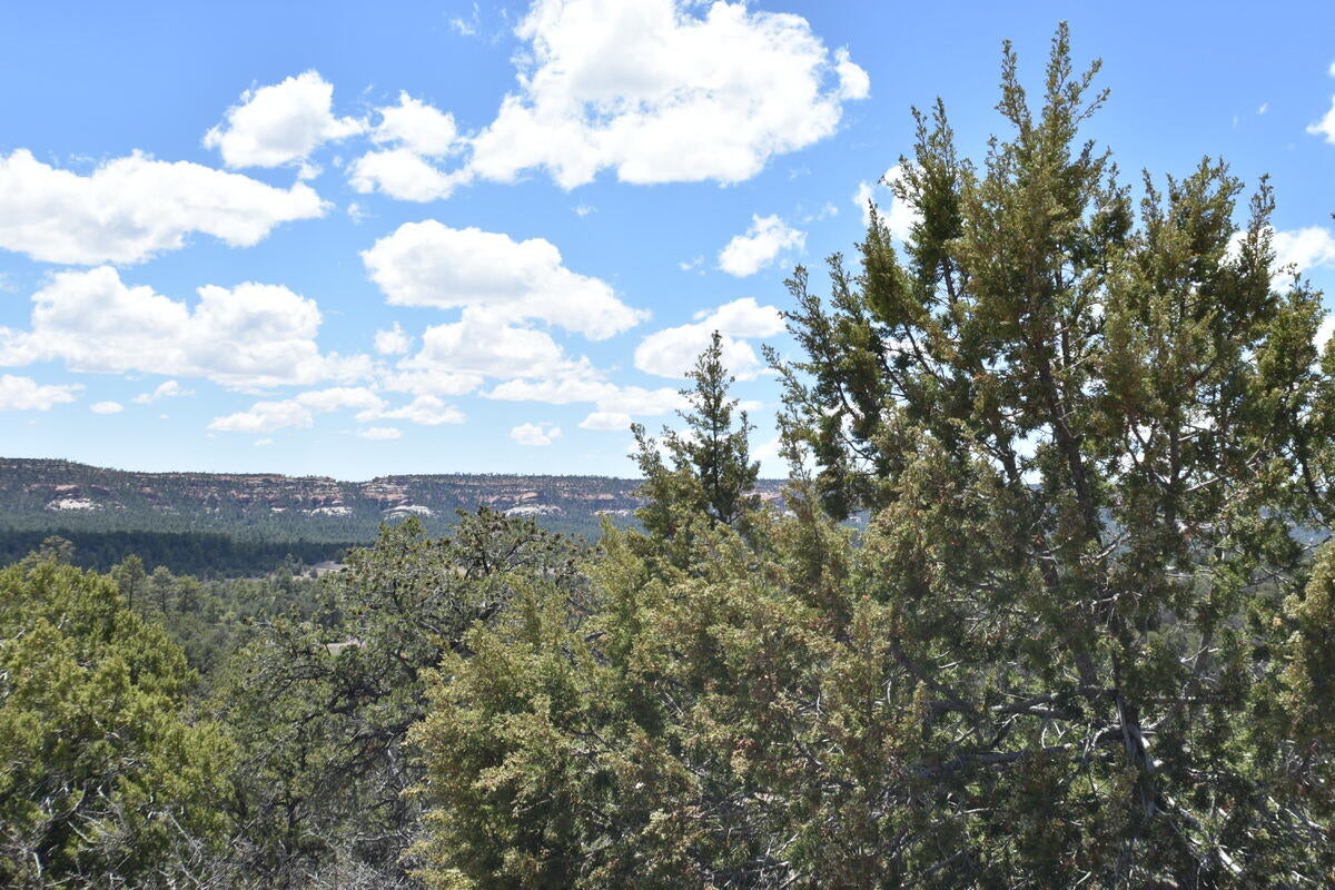Lot 20 Sunflower Drive
