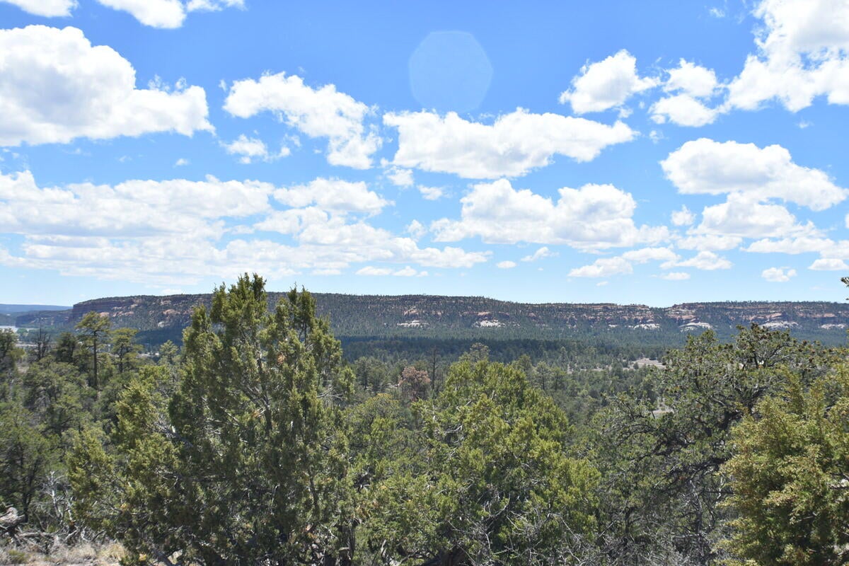 Lot 20 Sunflower Drive