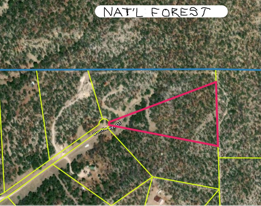 Lot 20 Sunflower Drive