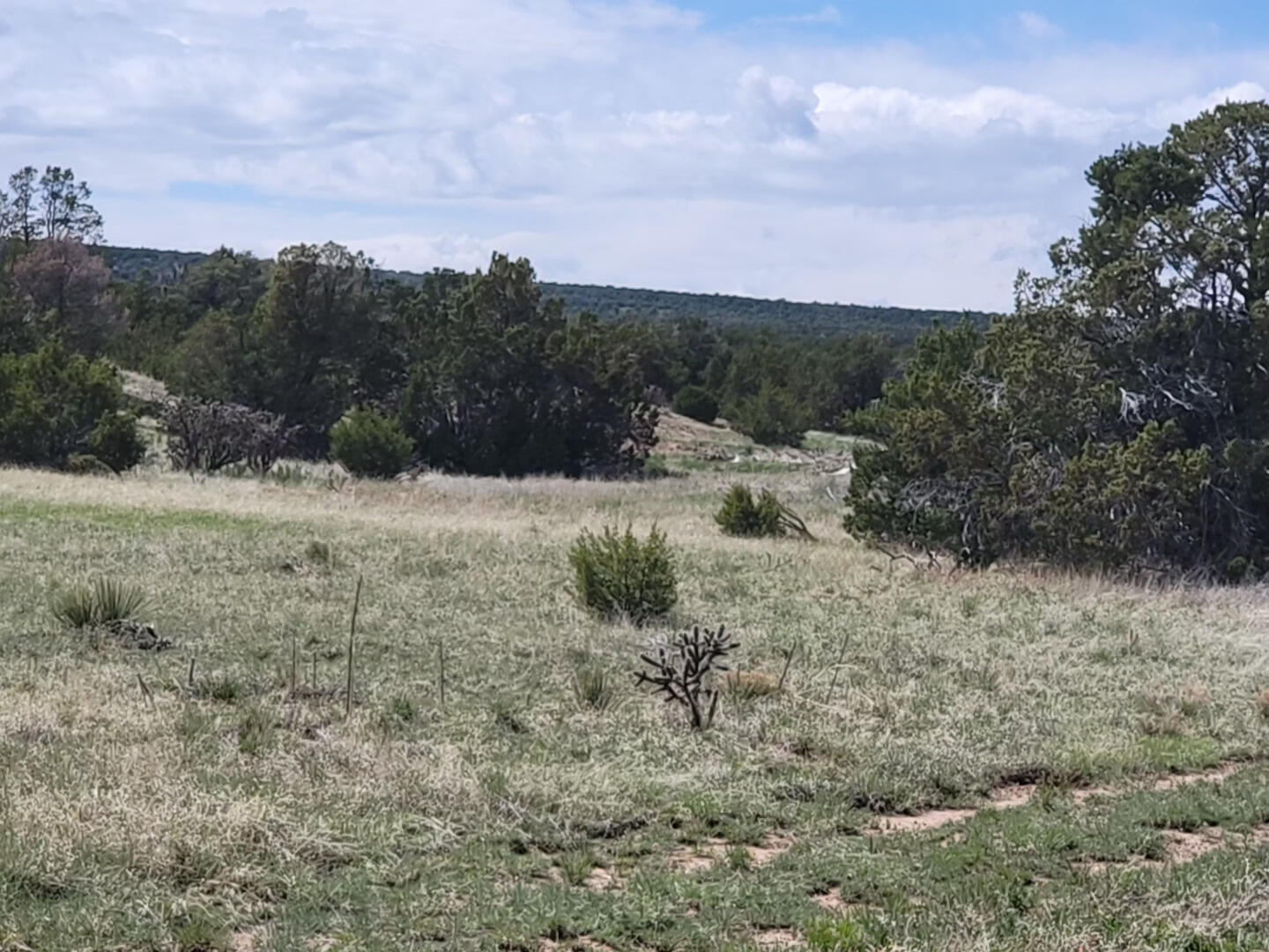 2 Woodland Drive, Moriarty, New Mexico image 1