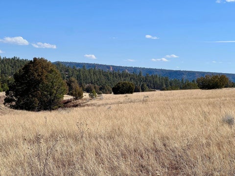 Vacant Land For Sale - LOT 9 Juniper Drive<br/> Ramah, NM 87321