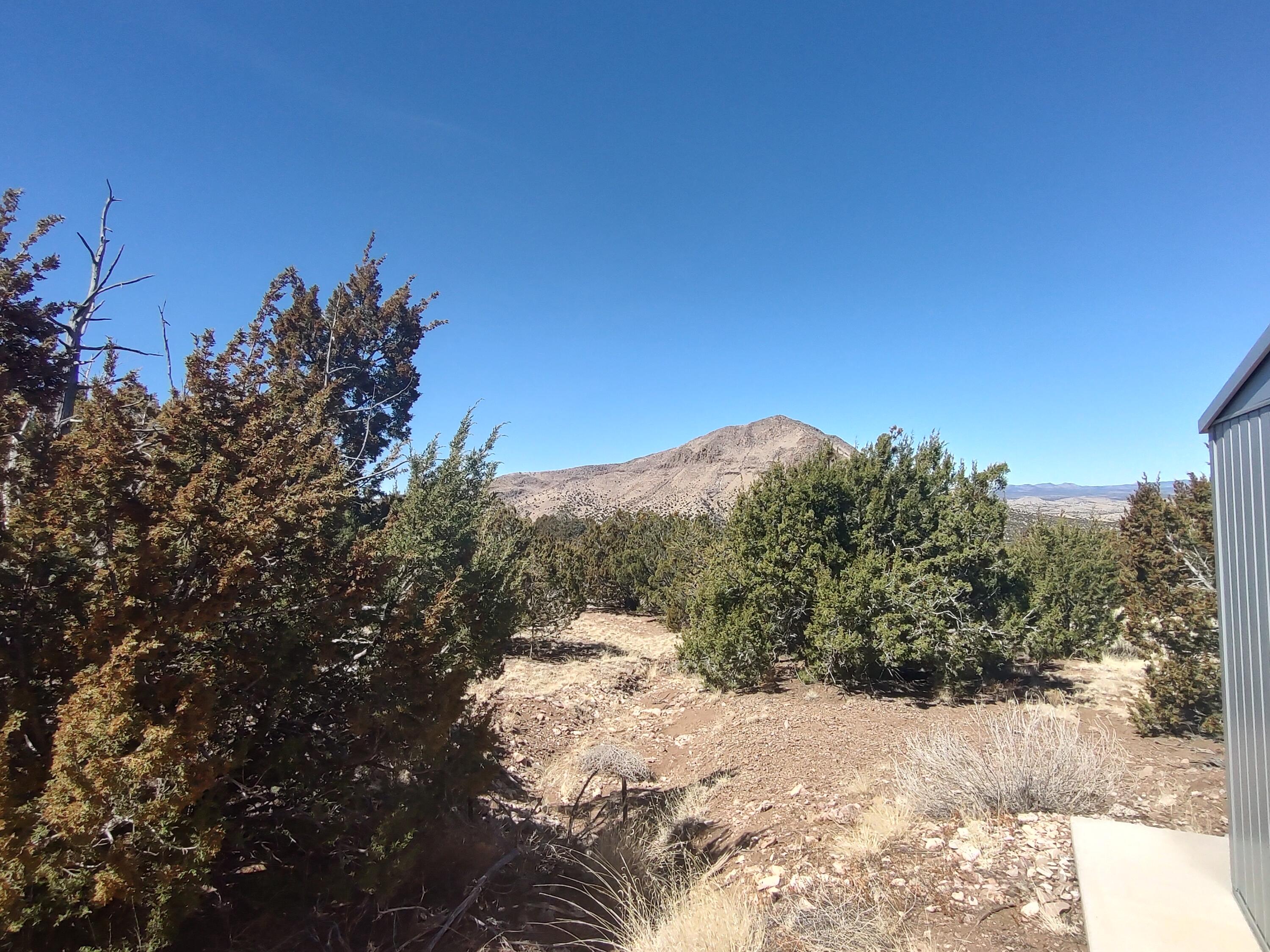 77 Wagner Lane, Magdalena, New Mexico image 24