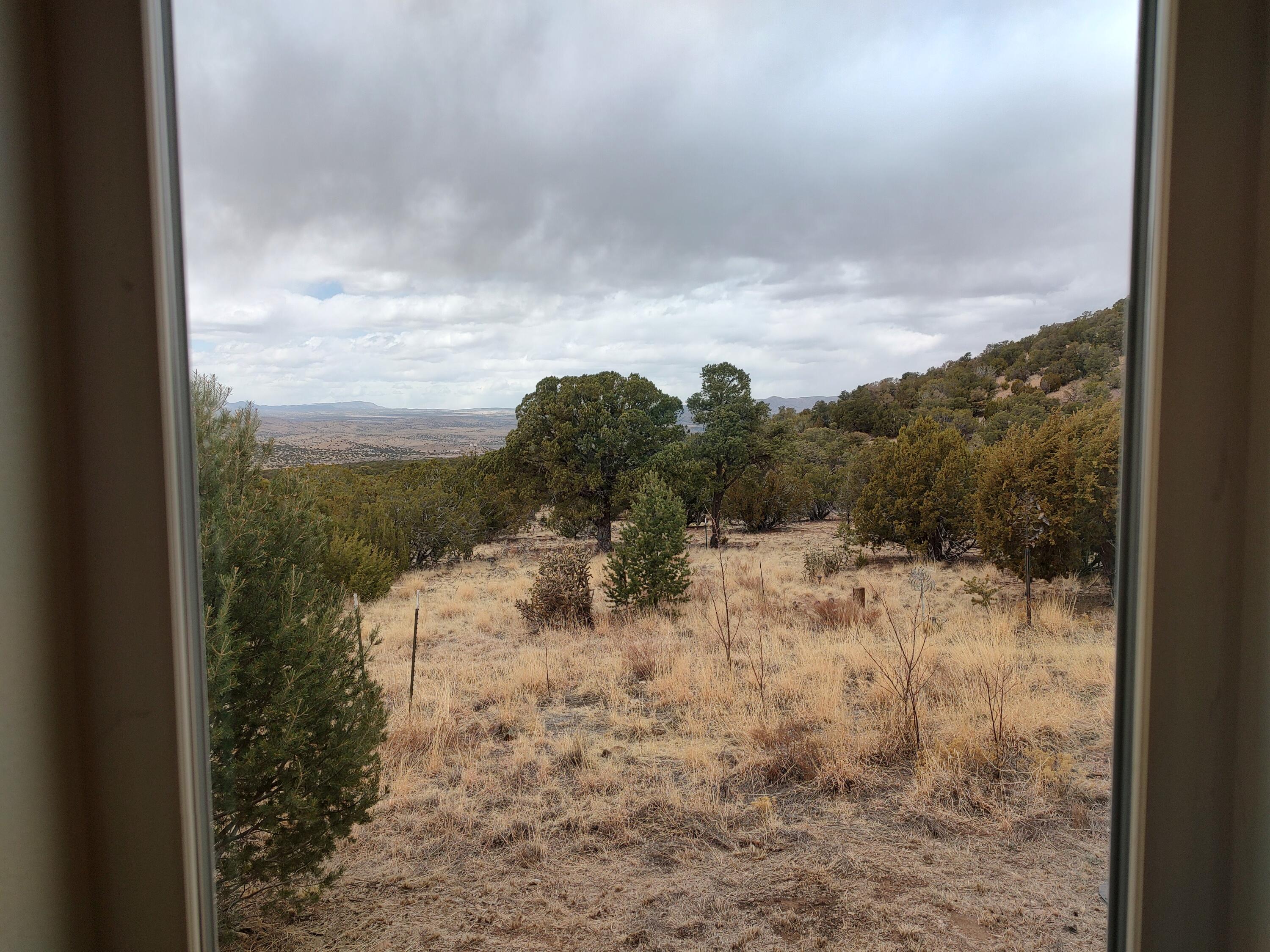 77 Wagner Lane, Magdalena, New Mexico image 49