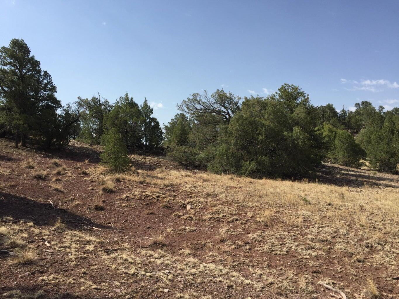 Lot 3 Sunflower Drive, Ramah, New Mexico image 29