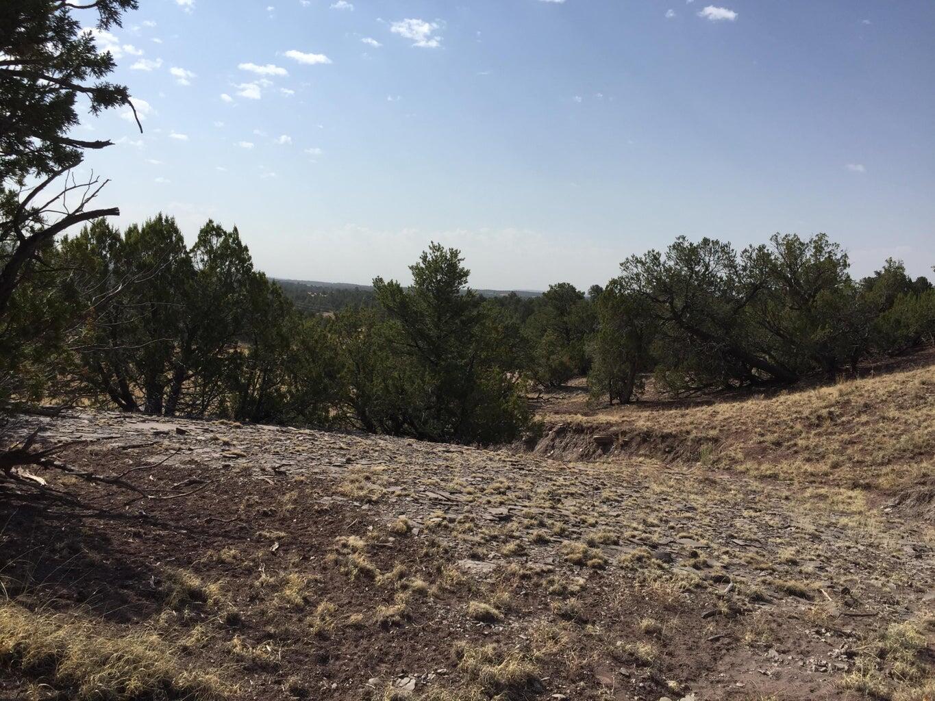 Lot 3 Sunflower Drive, Ramah, New Mexico image 18