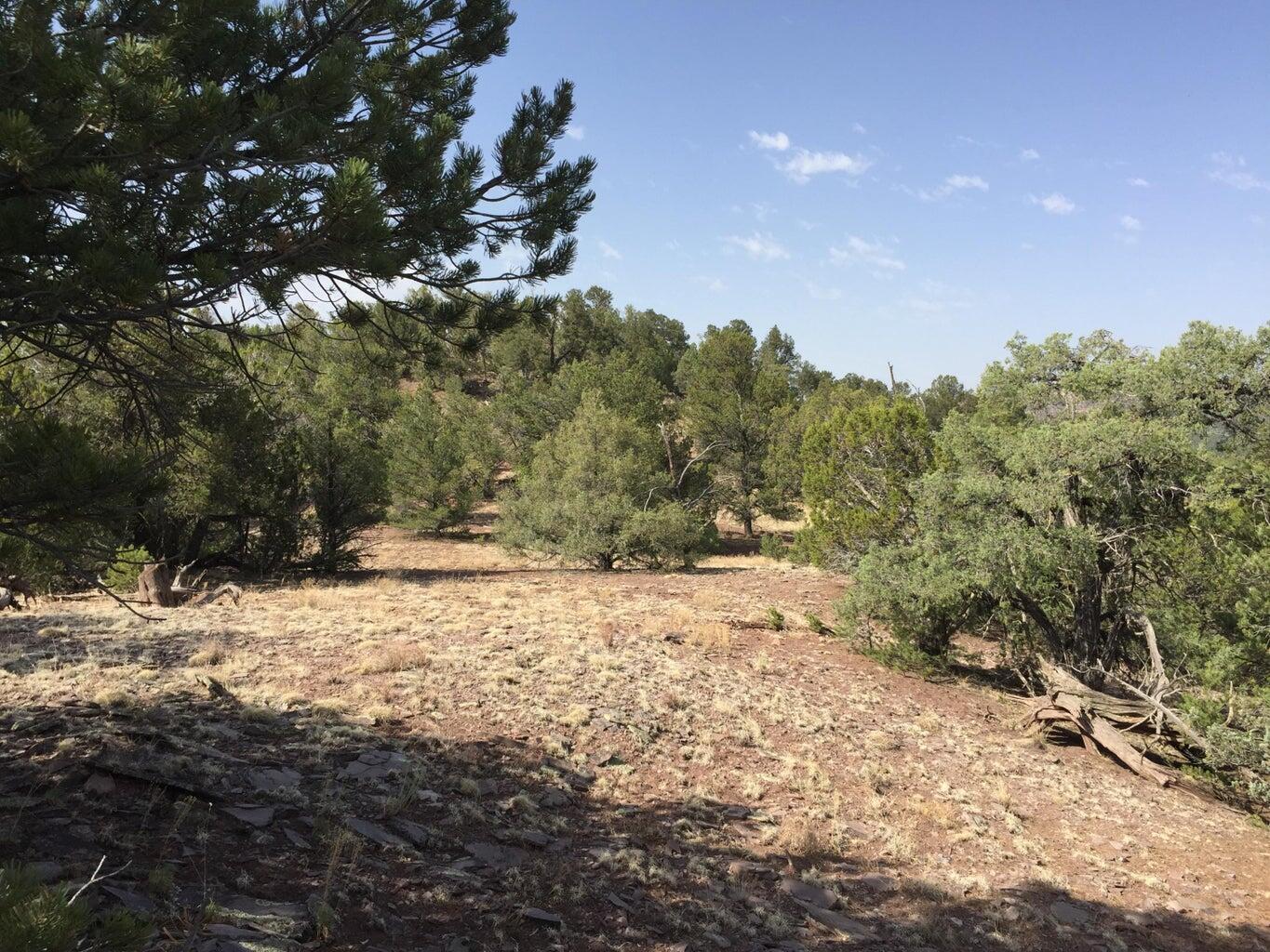 Lot 3 Sunflower Drive, Ramah, New Mexico image 36