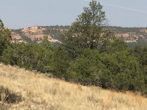 Vacant Land For Sale - LOT 3 Sunflower Drive<br/> Ramah, NM 87321