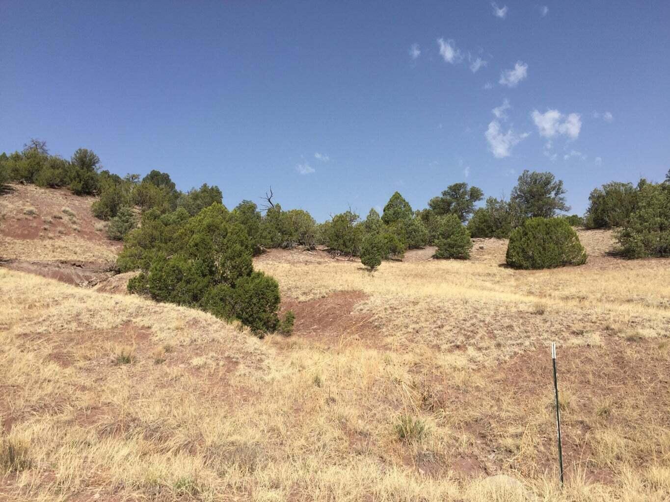 Lot 3 Sunflower Drive, Ramah, New Mexico image 6