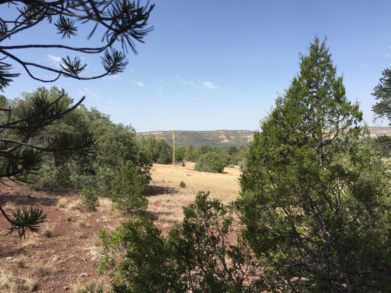 Lot 3 Sunflower Drive, Ramah, New Mexico image 32