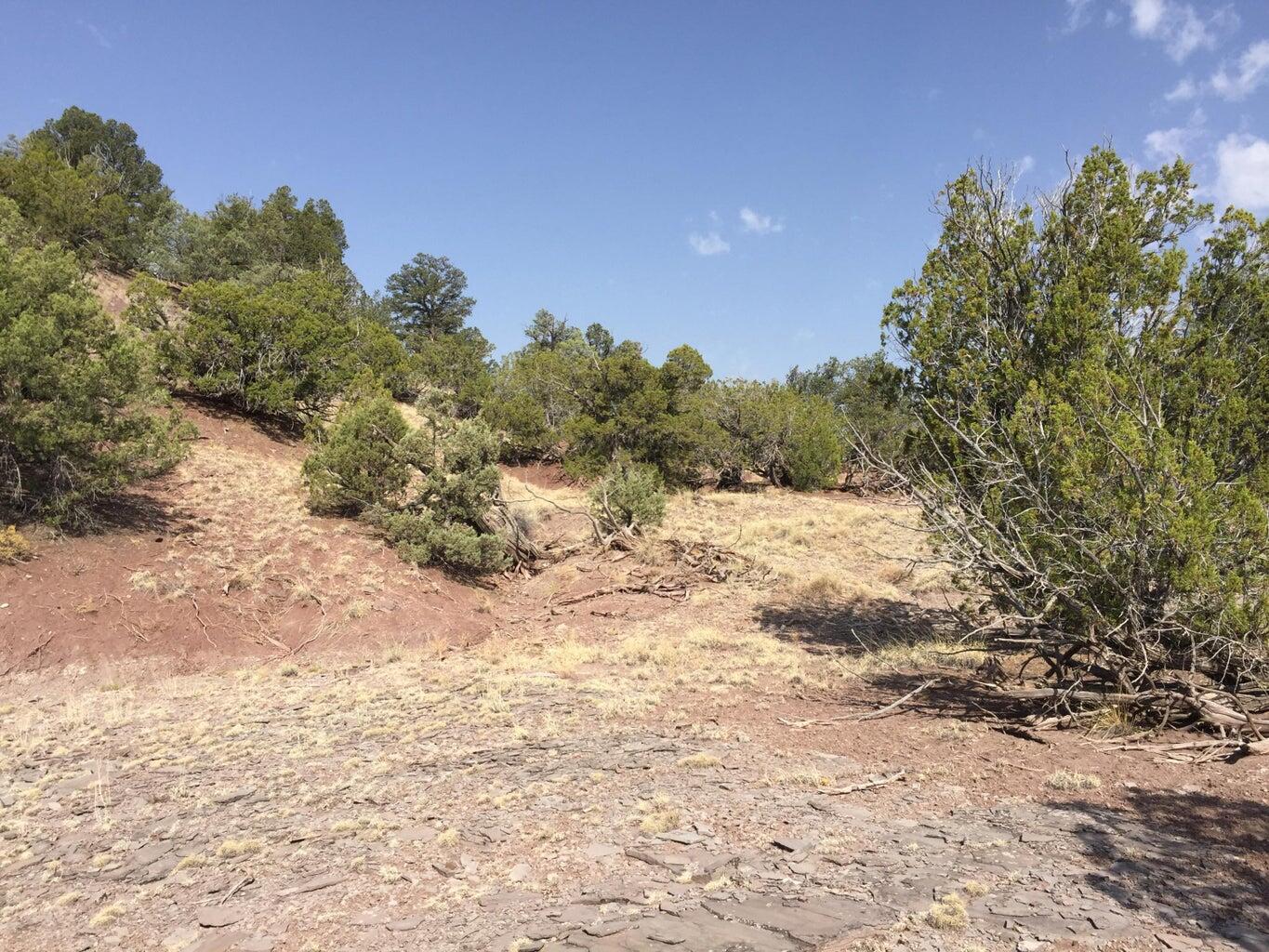 Lot 3 Sunflower Drive, Ramah, New Mexico image 13