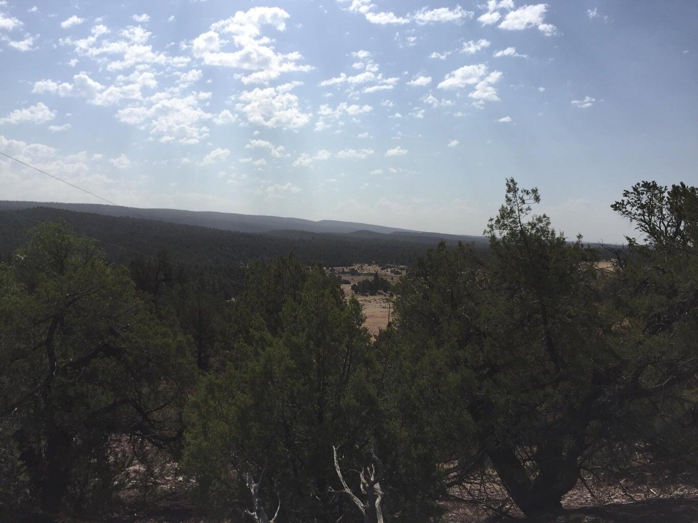 Lot 3 Sunflower Drive, Ramah, New Mexico image 41