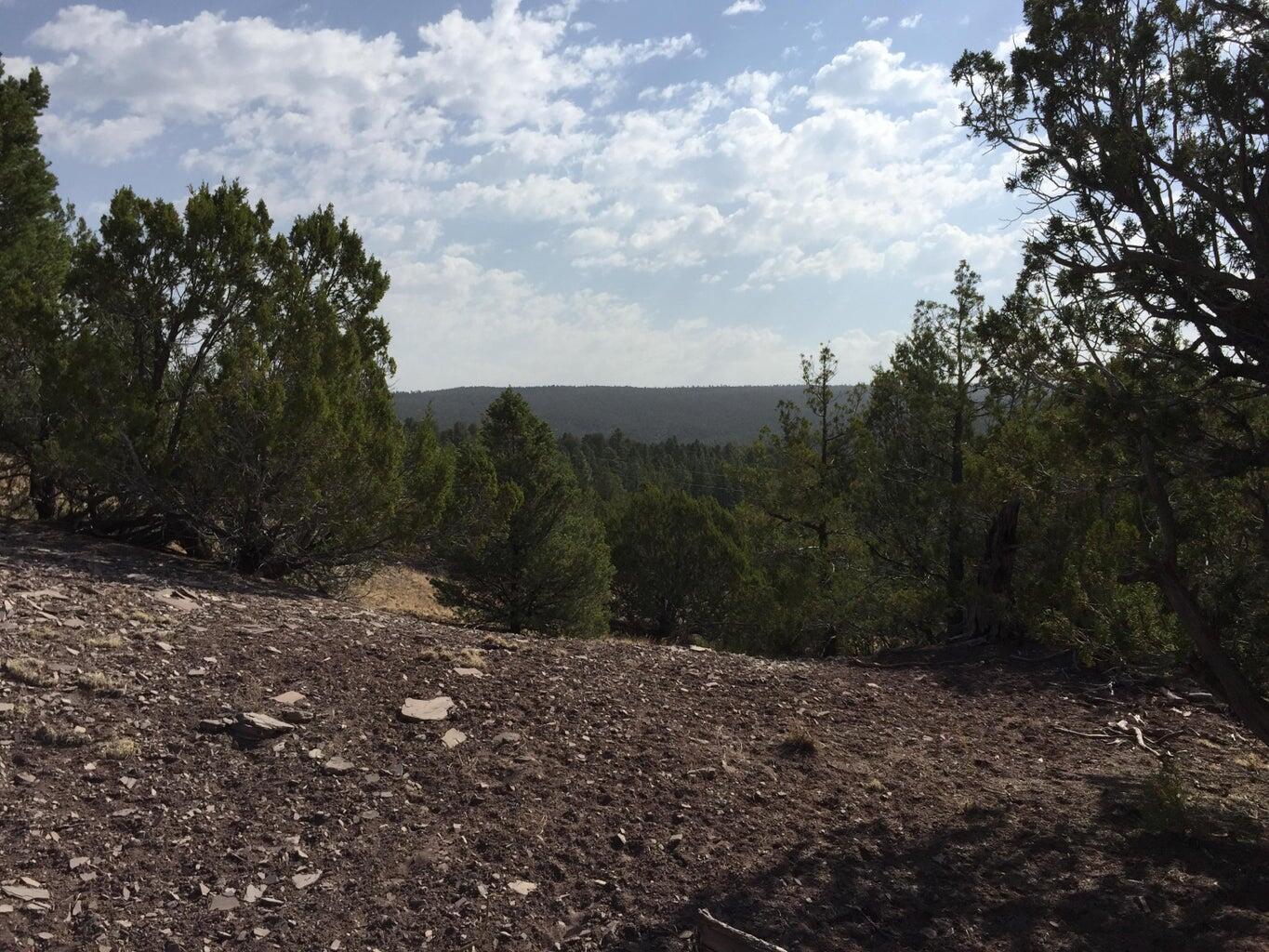 Lot 3 Sunflower Drive, Ramah, New Mexico image 17