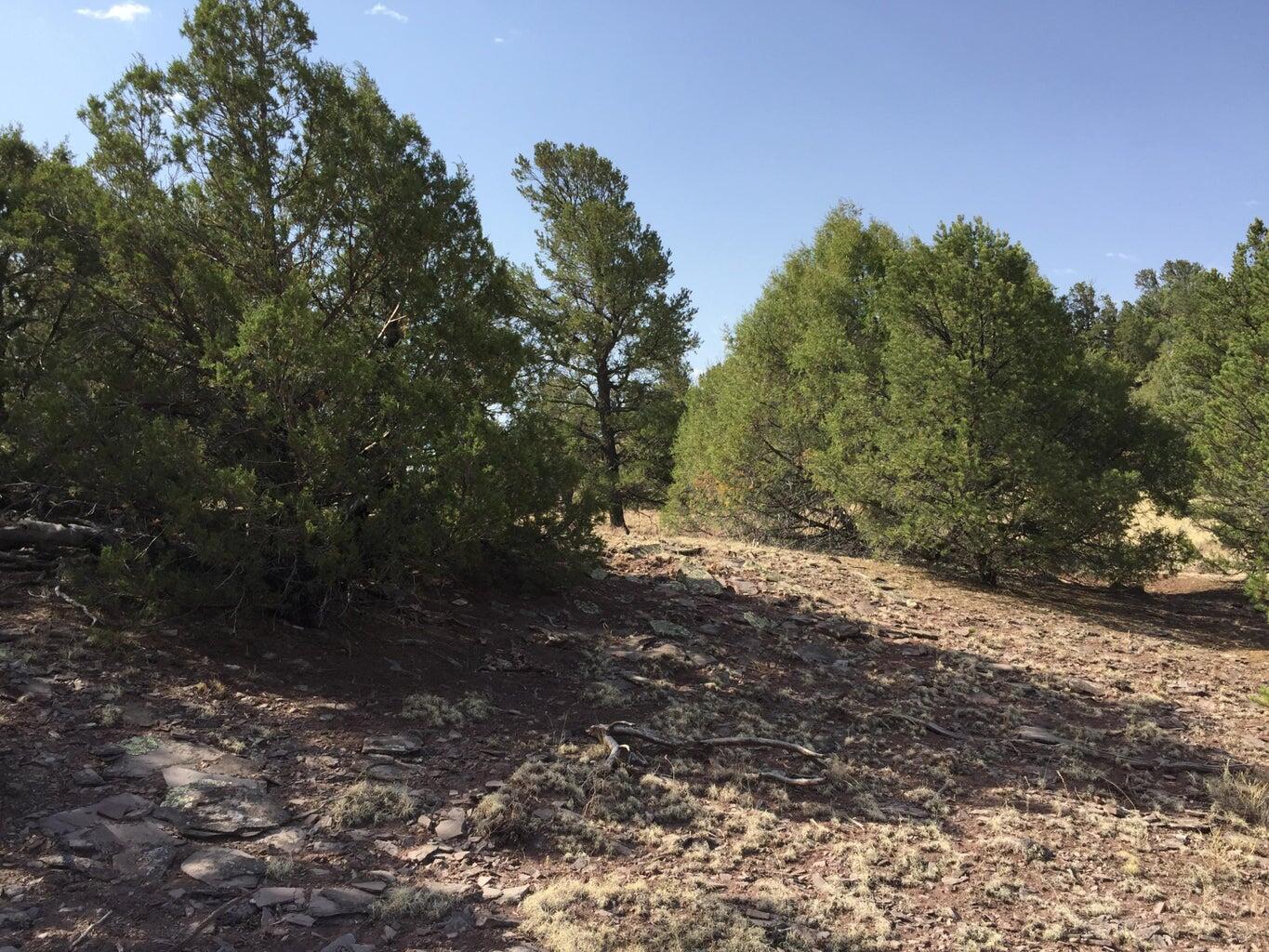 Lot 3 Sunflower Drive, Ramah, New Mexico image 27