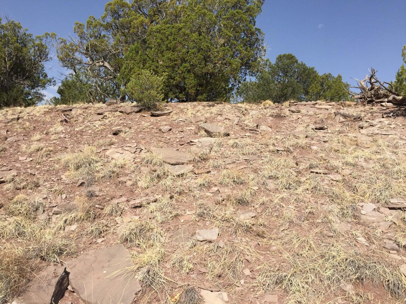 Lot 3 Sunflower Drive, Ramah, New Mexico image 42