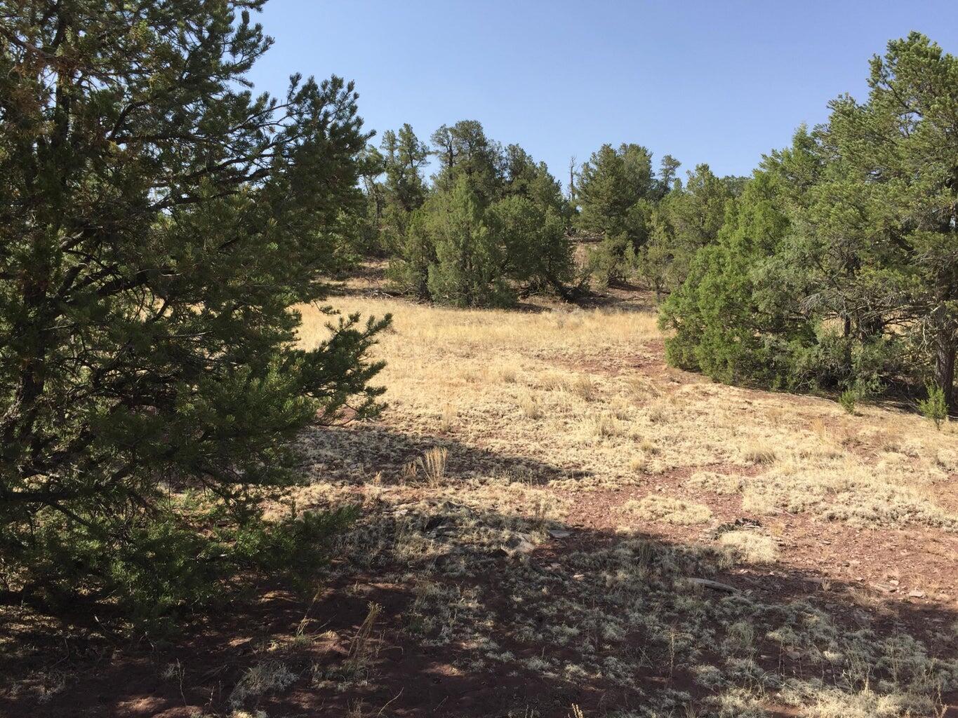 Lot 3 Sunflower Drive, Ramah, New Mexico image 26