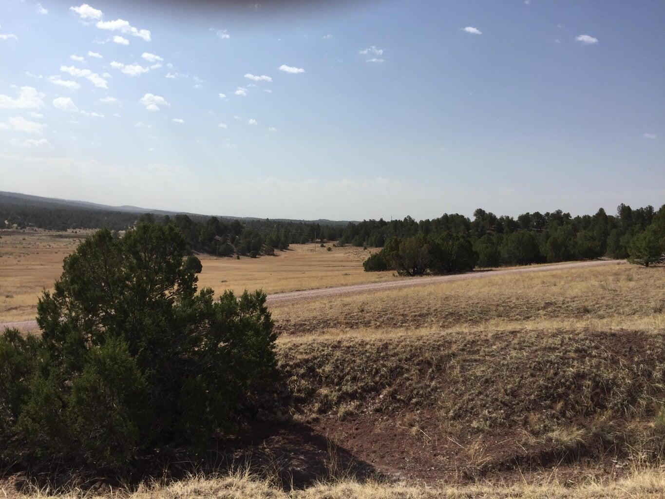 Lot 3 Sunflower Drive, Ramah, New Mexico image 11