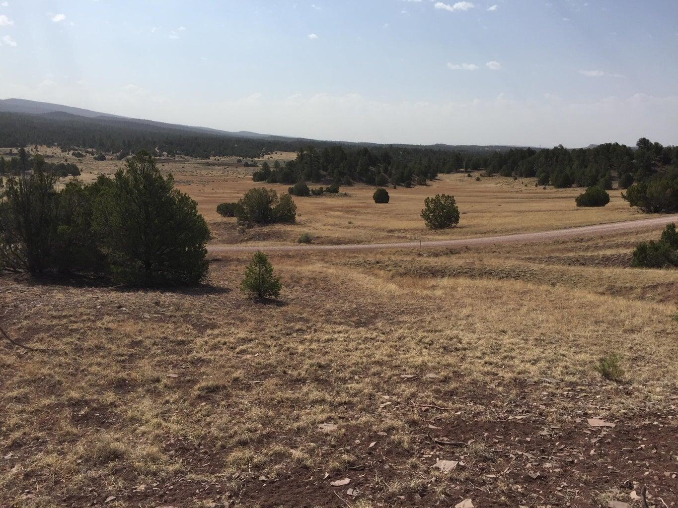 Lot 3 Sunflower Drive, Ramah, New Mexico image 45