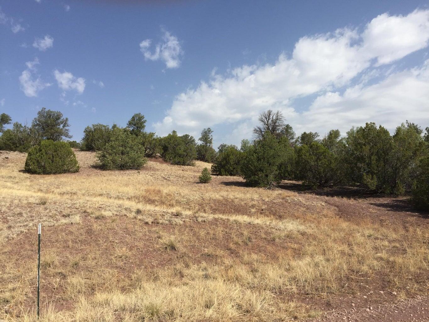 Lot 3 Sunflower Drive, Ramah, New Mexico image 7