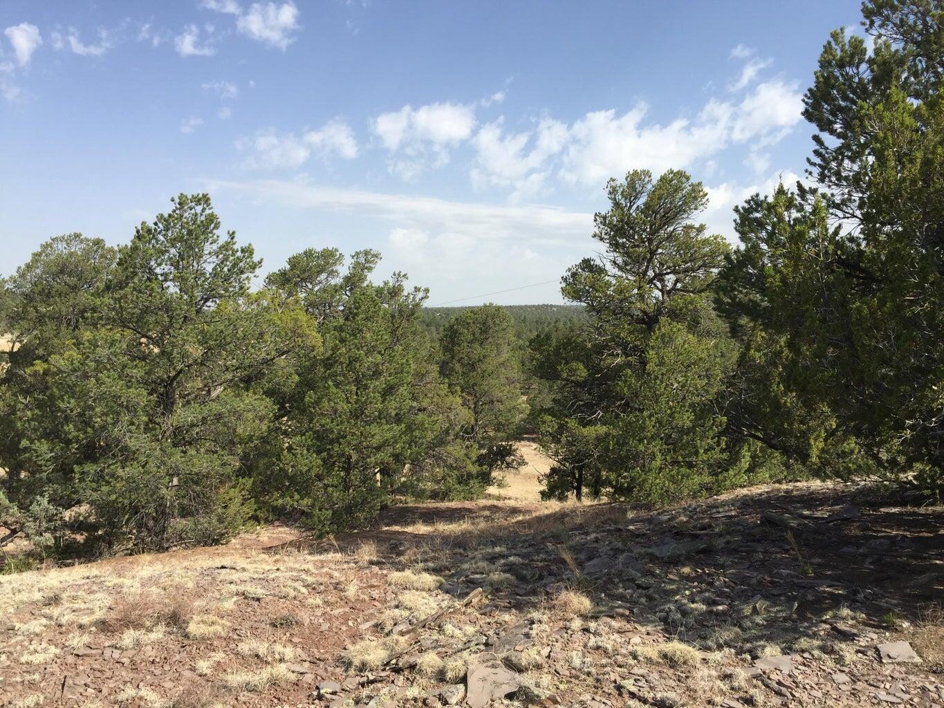 Lot 3 Sunflower Drive, Ramah, New Mexico image 39