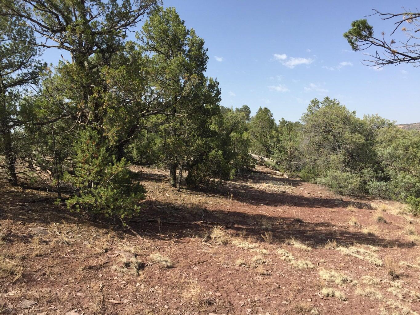 Lot 3 Sunflower Drive, Ramah, New Mexico image 35