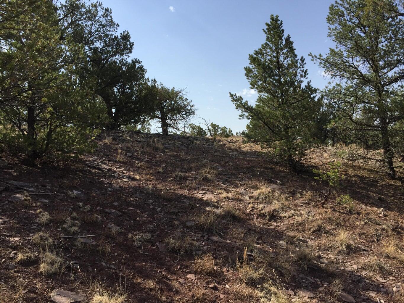 Lot 3 Sunflower Drive, Ramah, New Mexico image 34