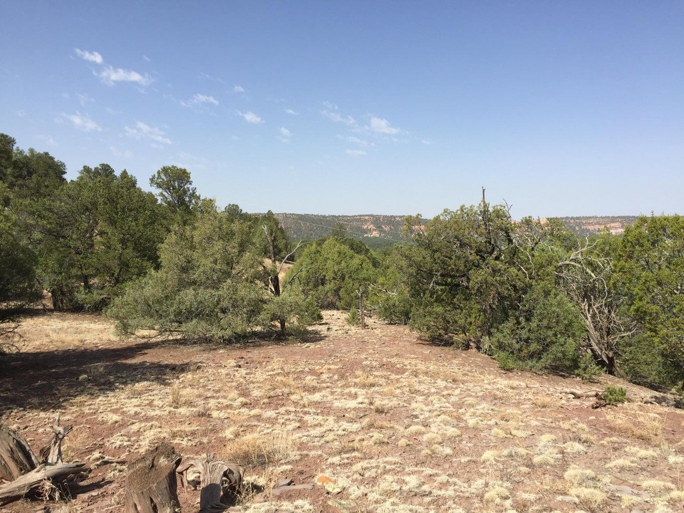 Lot 3 Sunflower Drive, Ramah, New Mexico image 38