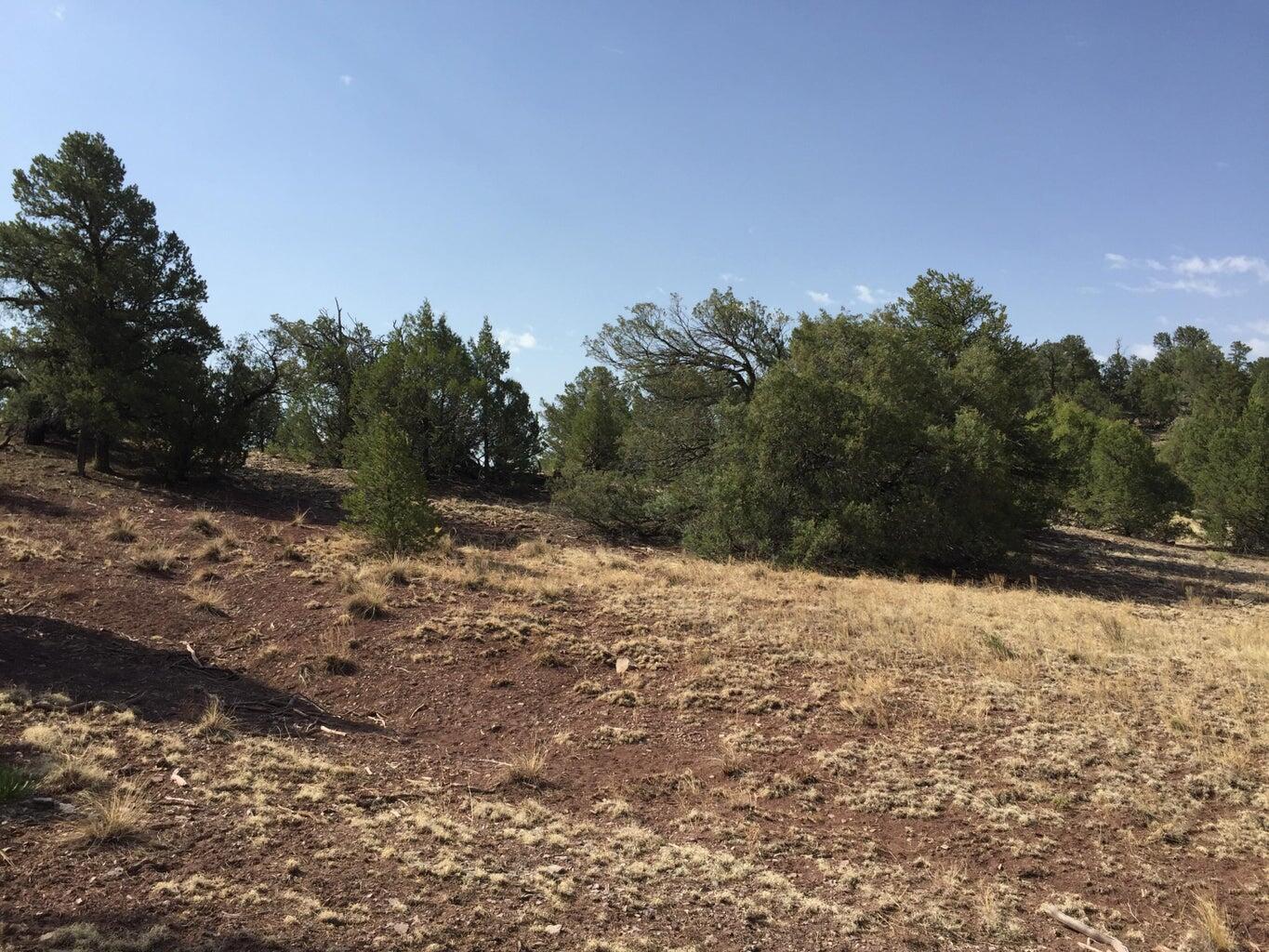 Lot 3 Sunflower Drive, Ramah, New Mexico image 30