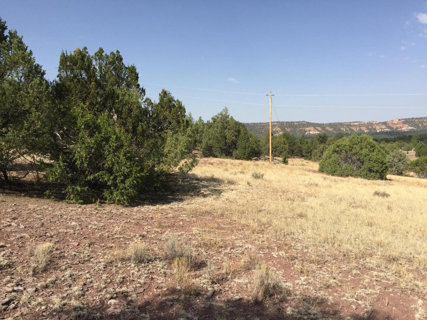 Lot 3 Sunflower Drive, Ramah, New Mexico image 3