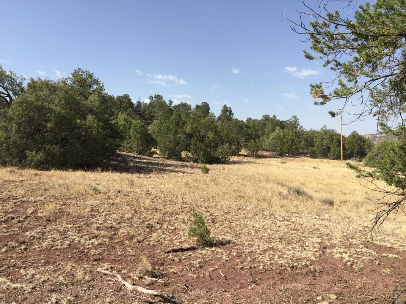 Lot 3 Sunflower Drive, Ramah, New Mexico image 31