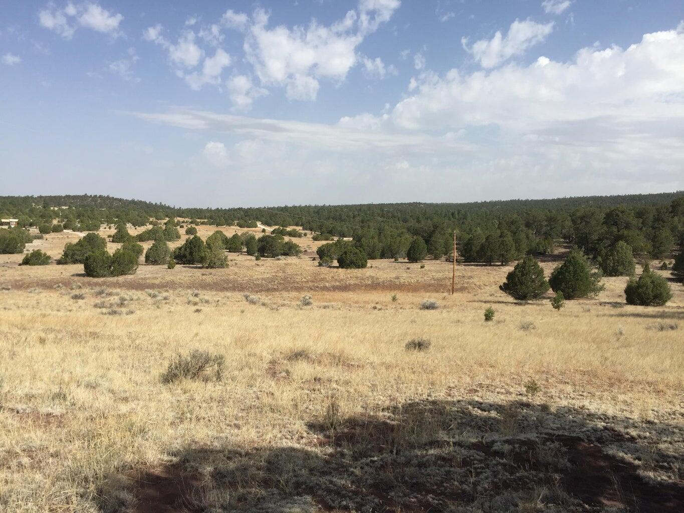 Lot 3 Sunflower Drive, Ramah, New Mexico image 24