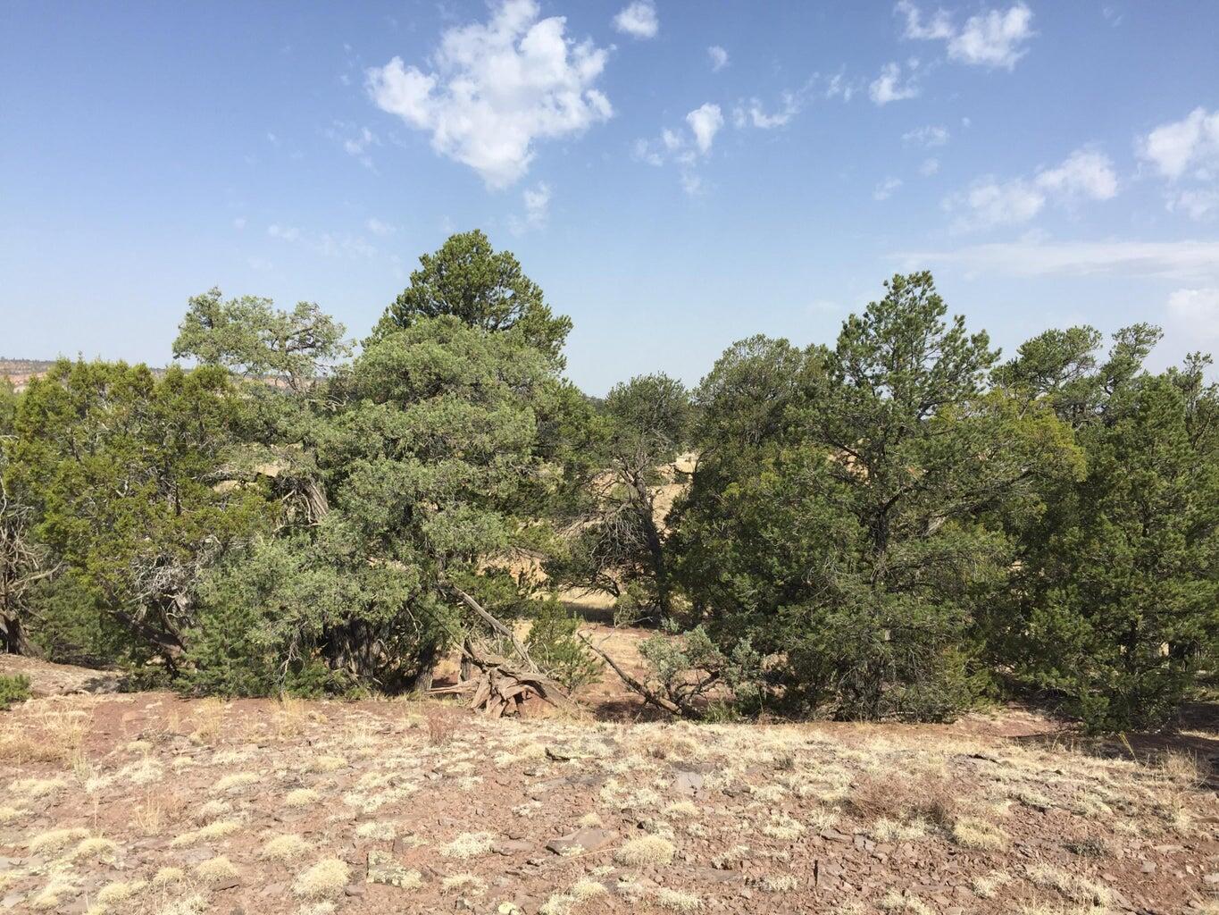 Lot 3 Sunflower Drive, Ramah, New Mexico image 40