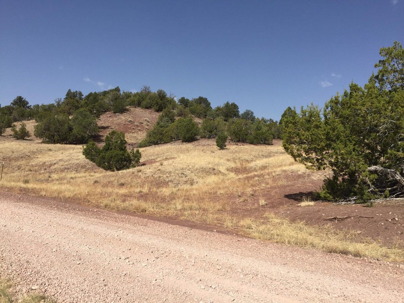 Lot 3 Sunflower Drive, Ramah, New Mexico image 4