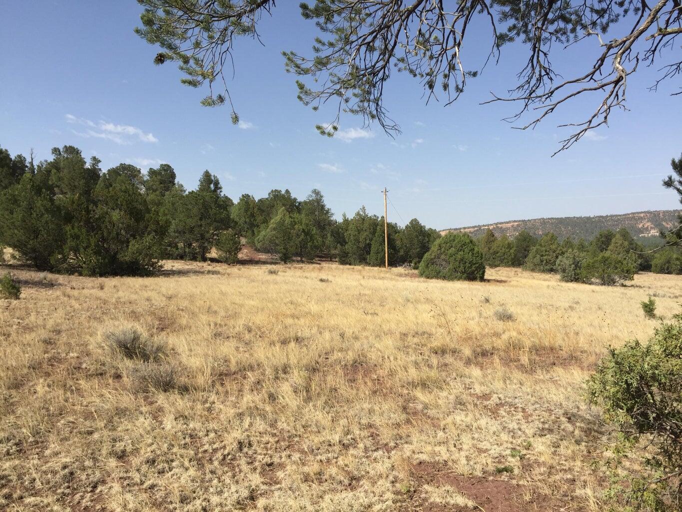 Lot 3 Sunflower Drive, Ramah, New Mexico image 28