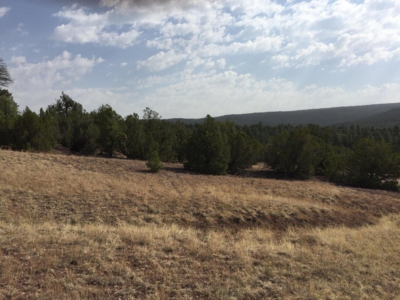 Lot 3 Sunflower Drive, Ramah, New Mexico image 12