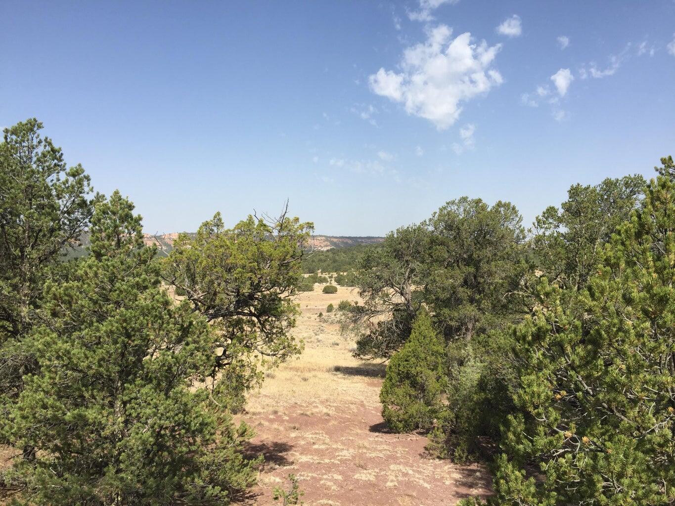 Lot 3 Sunflower Drive, Ramah, New Mexico image 37